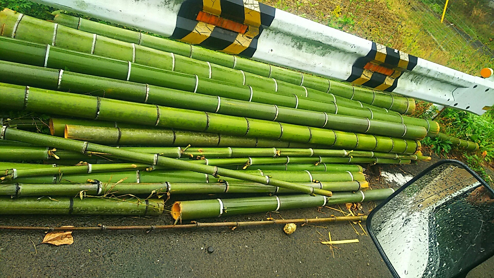 門松用の竹: 宗像の植木屋・剪定業者